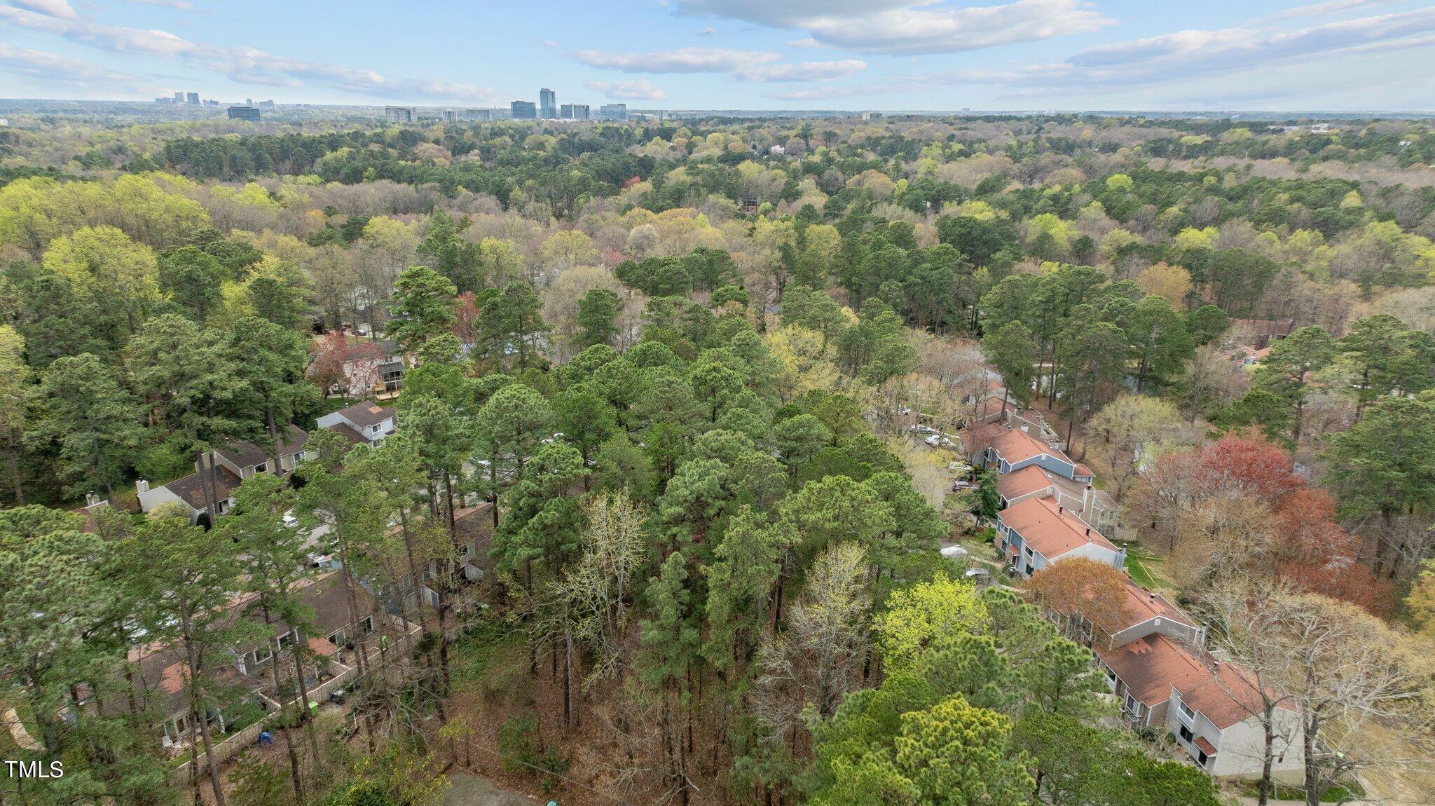 805 Green Ridge Drive Raleigh, NC 27609 - Photo 57 of 57 49-web-or-mls-DJI_0566