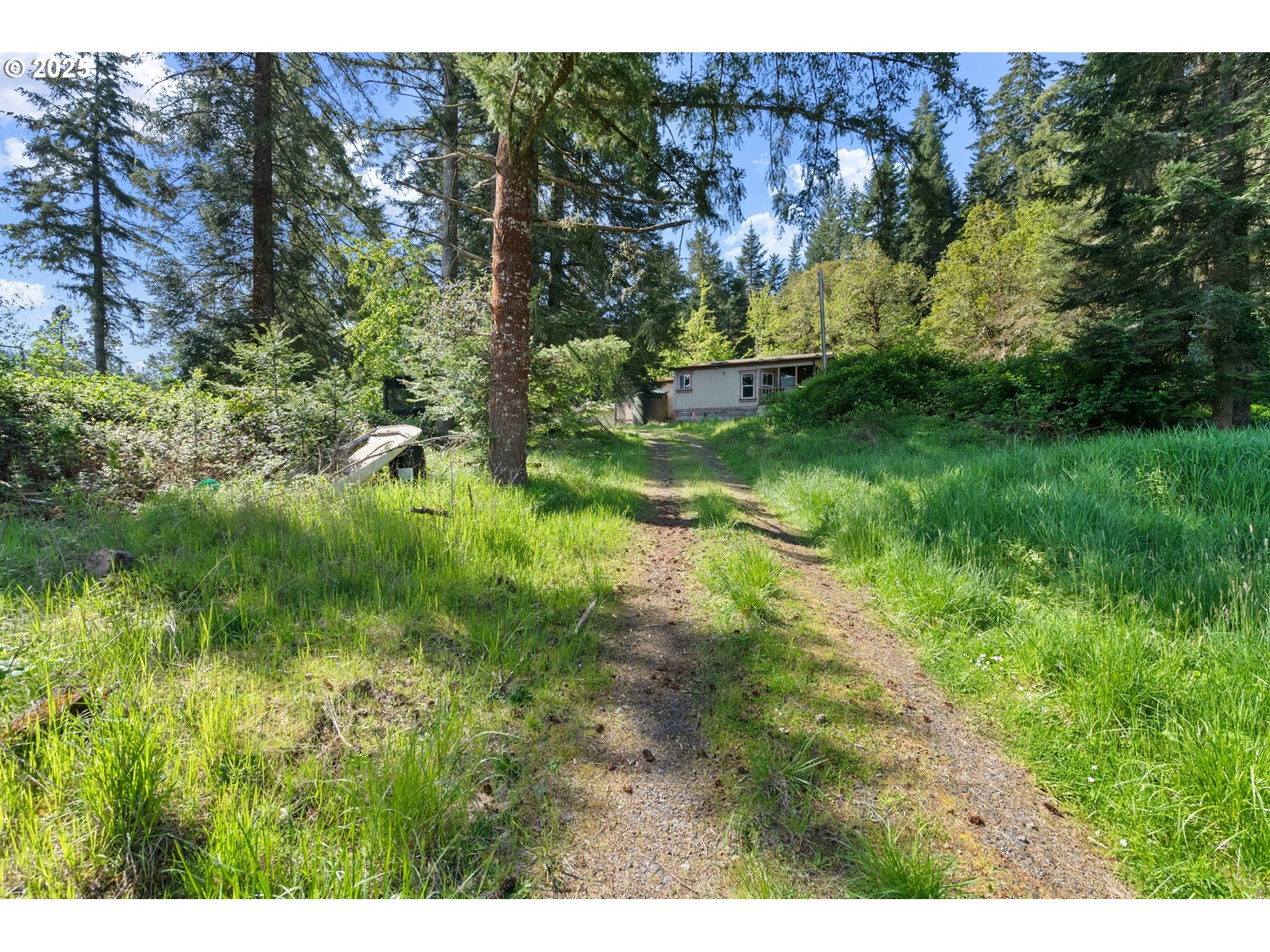 82820 Weiss Road Creswell, OR 97426 - Photo 11 of 26 Gallery Image 11
