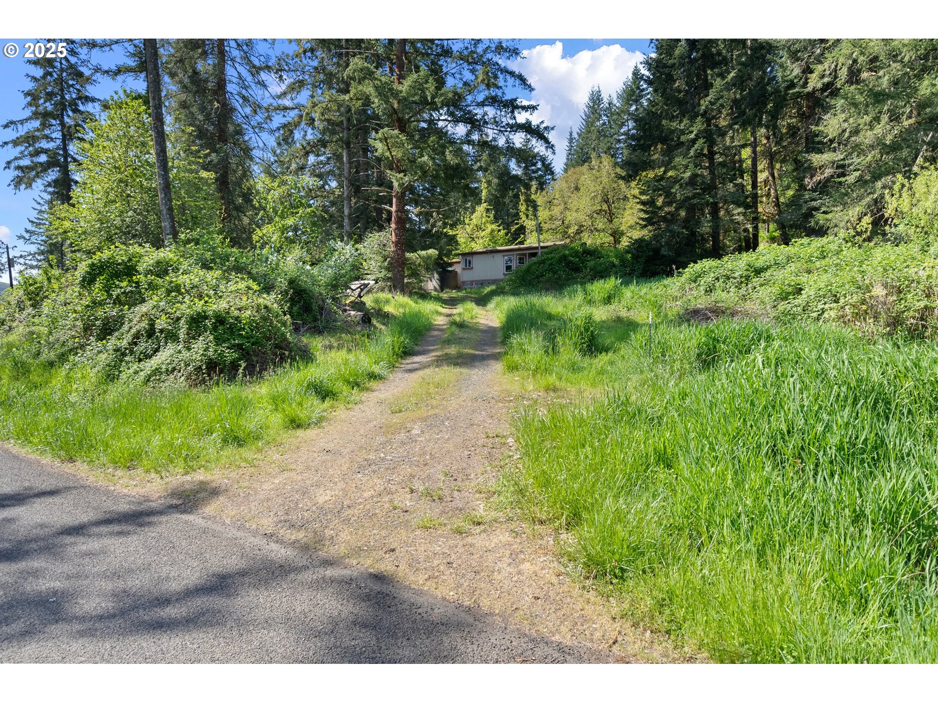 82820 Weiss Road Creswell, OR 97426 - Photo 12 of 26 Gallery Image 12