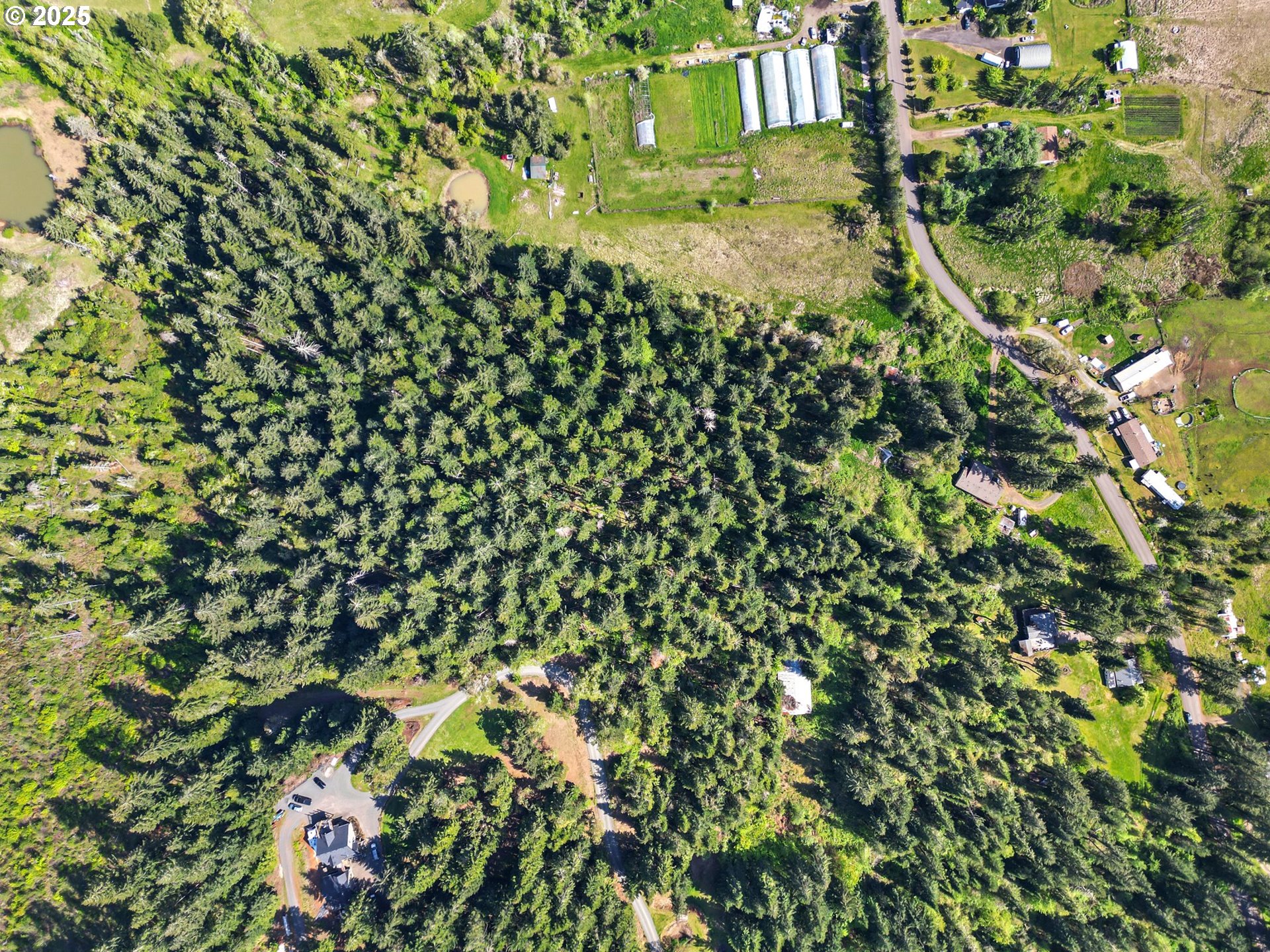 82820 Weiss Road Creswell, OR 97426 - Photo 16 of 26 Gallery Image 16