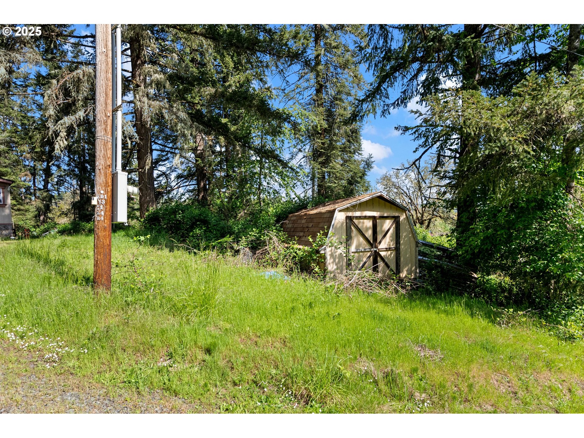 82820 Weiss Road Creswell, OR 97426 - Photo 6 of 26 Gallery Image 6