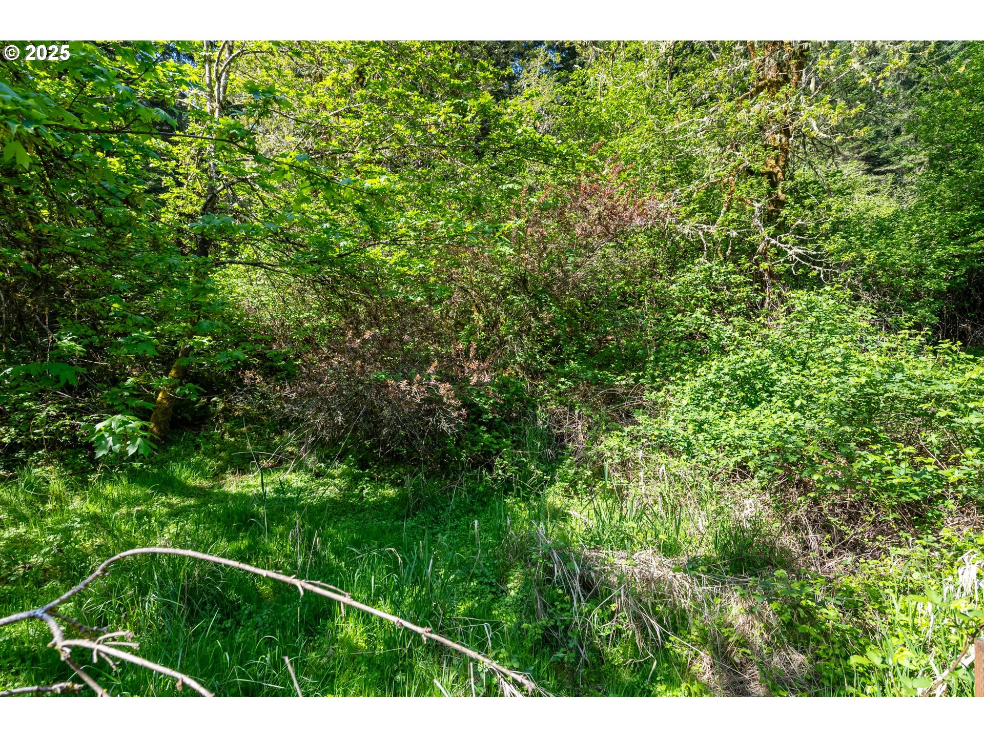 82820 Weiss Road Creswell, OR 97426 - Photo 8 of 26 Gallery Image 8