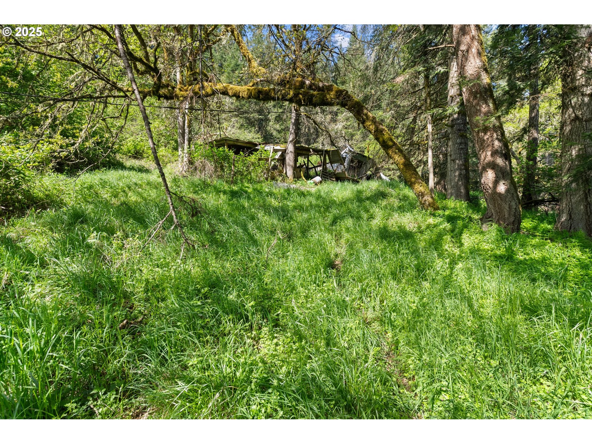 82820 Weiss Road Creswell, OR 97426 - Photo 9 of 26 Gallery Image 9