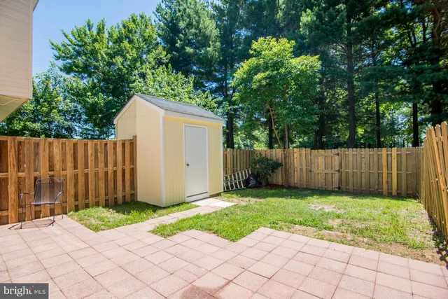 a view of backyard with wooden fence and large trees