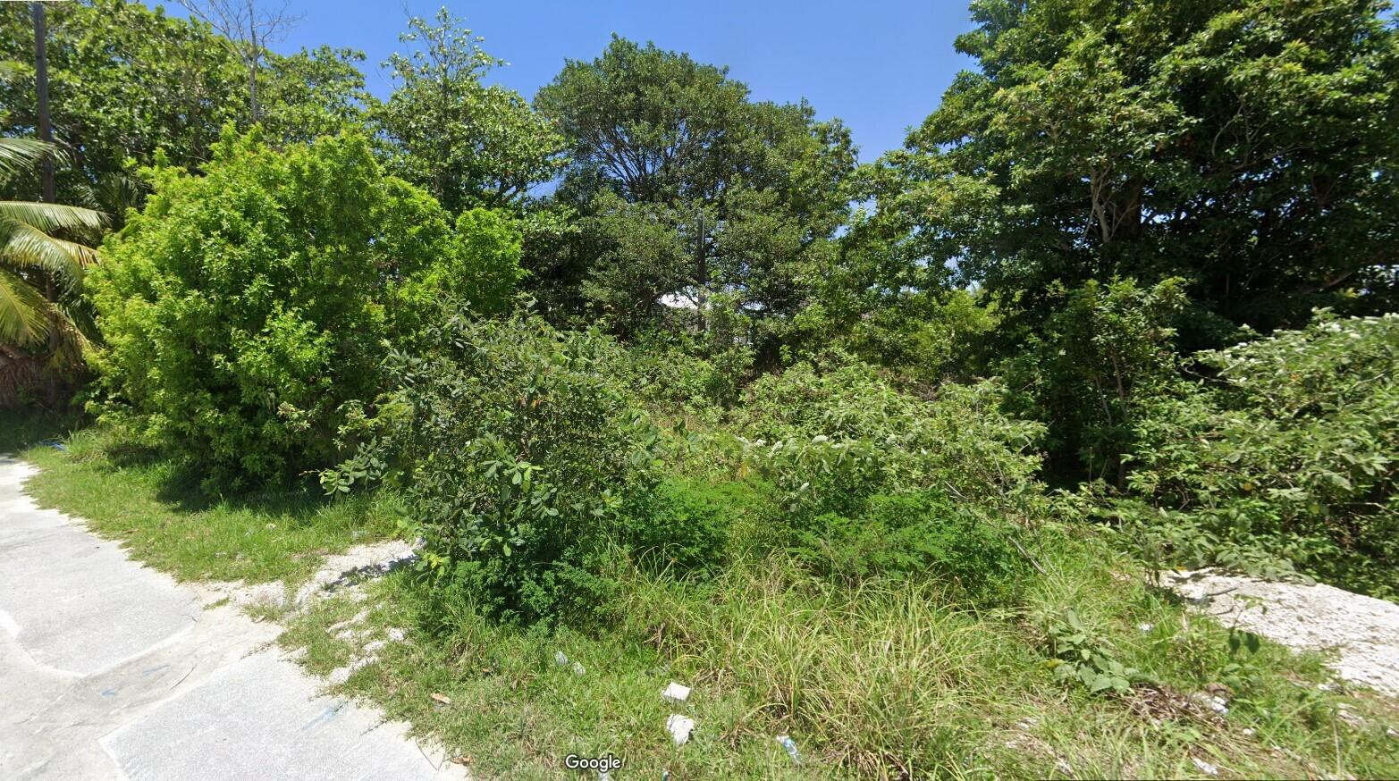 30921 Bailey Road Big Pine Key, FL 33043 - Photo 3 of 4 a view of a garden