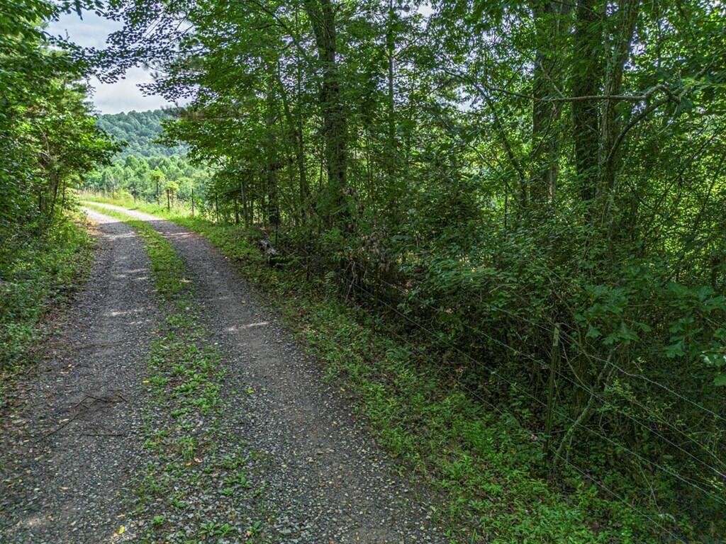 541 Pleasant Hill Road Copperhill, TN 37317 - Photo 3 of 10 Gallery Image 3