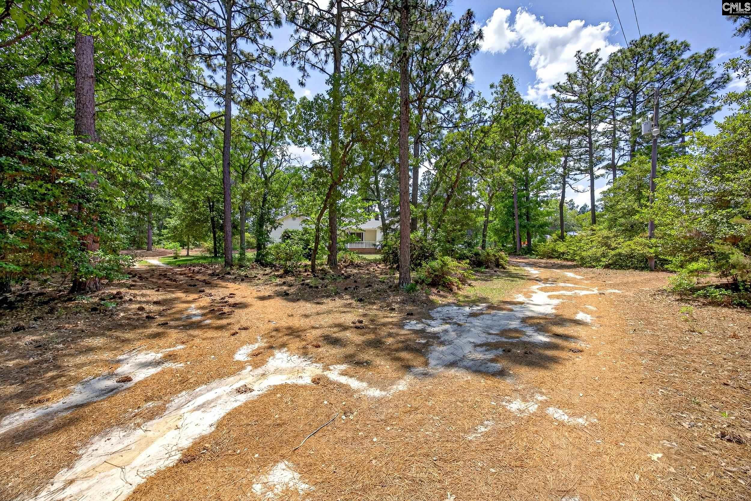 614 Longs Pond Road Lexington, SC 29073 - Photo 72 of 74