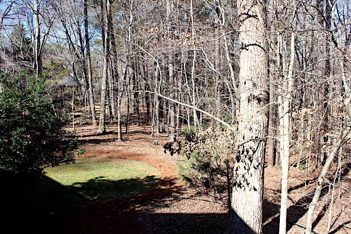 10700 Dunhill Terrace Raleigh, NC 27615 - Photo 15 of 16 Backyard