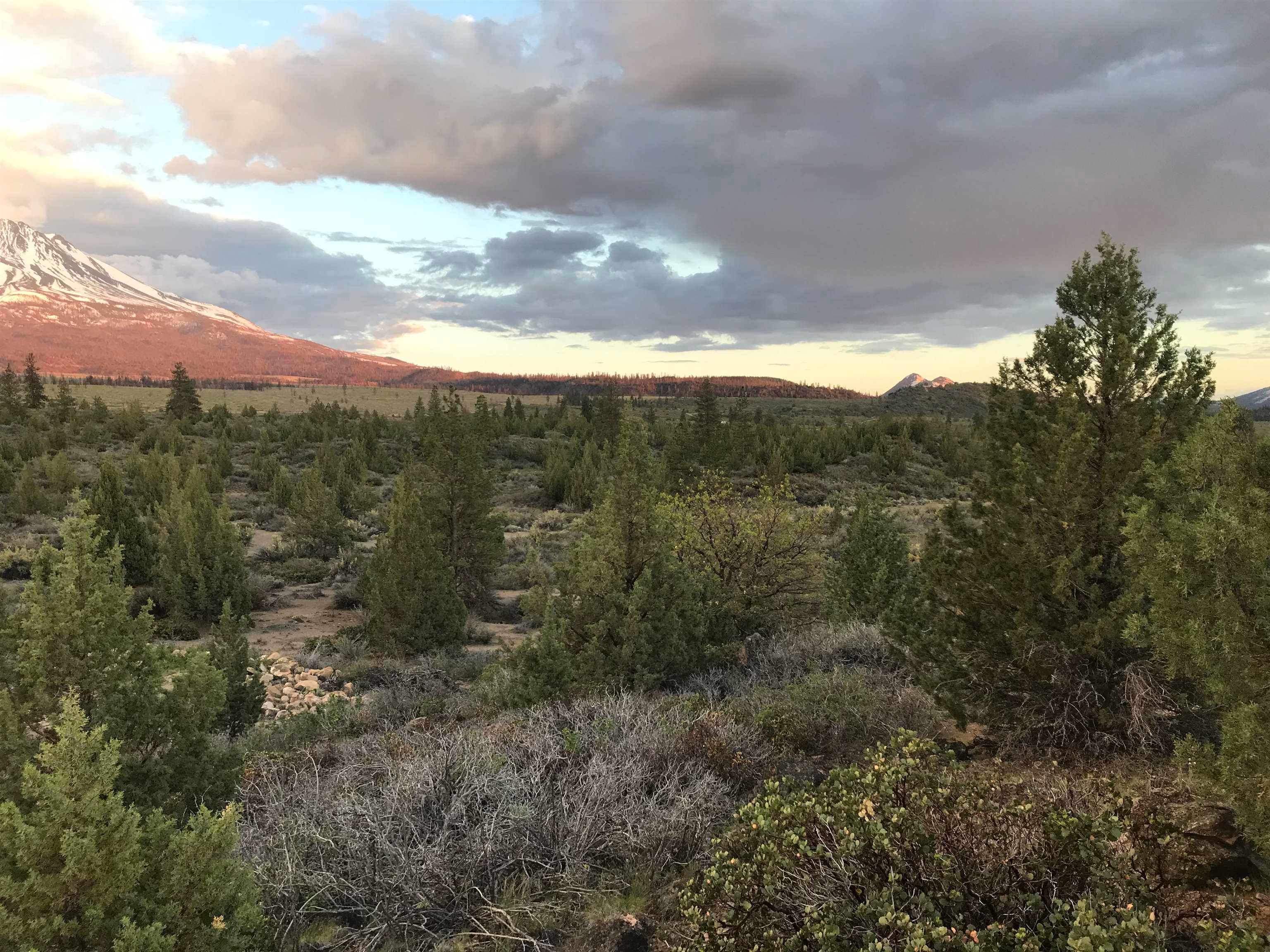Lot 49 Quarry Road Weed, CA 96094 - Photo 5 of 6 Gallery Image 5