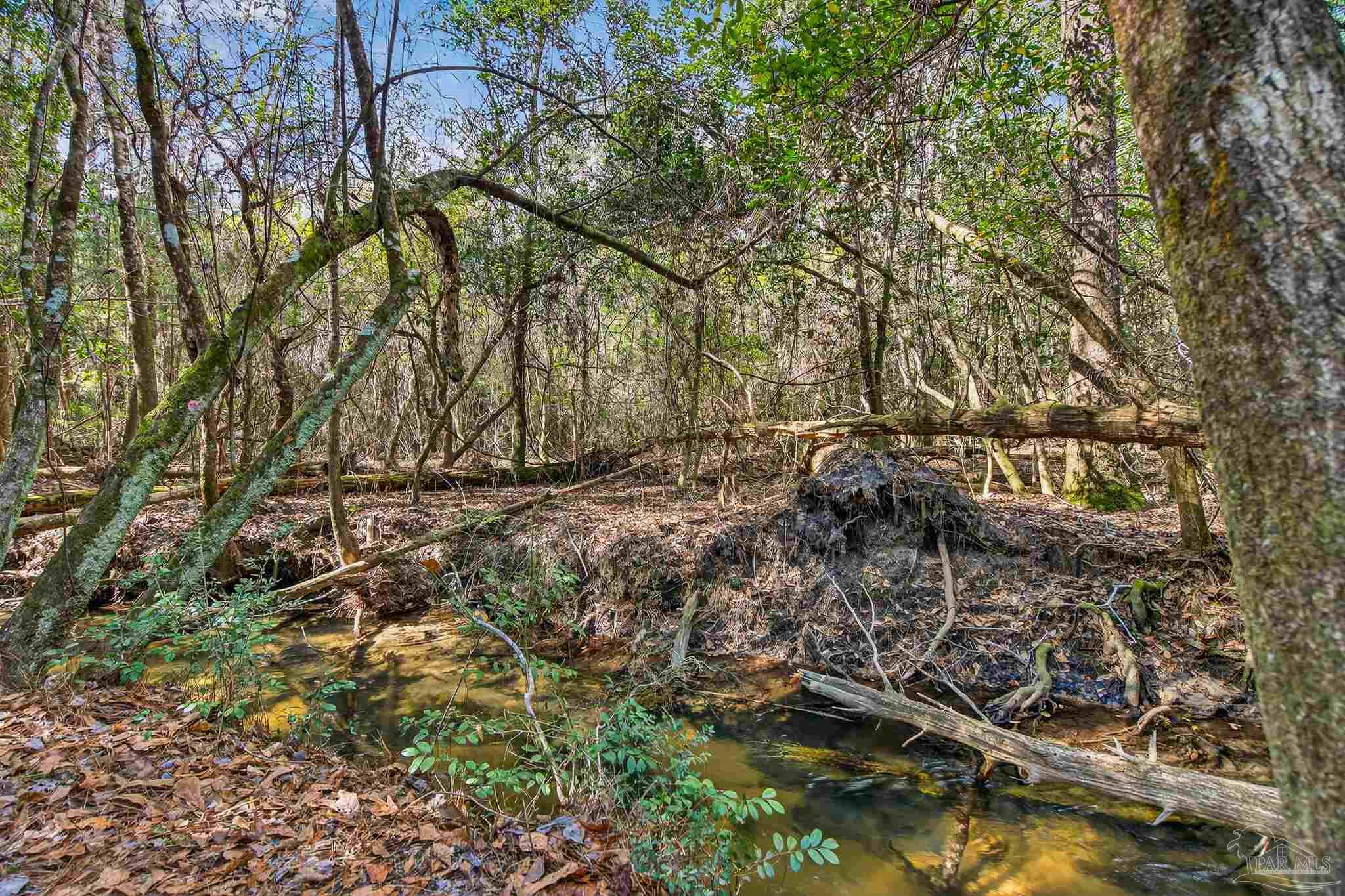 2248 Wallace Lake Road Pace, FL 32571 - Photo 49 of 61