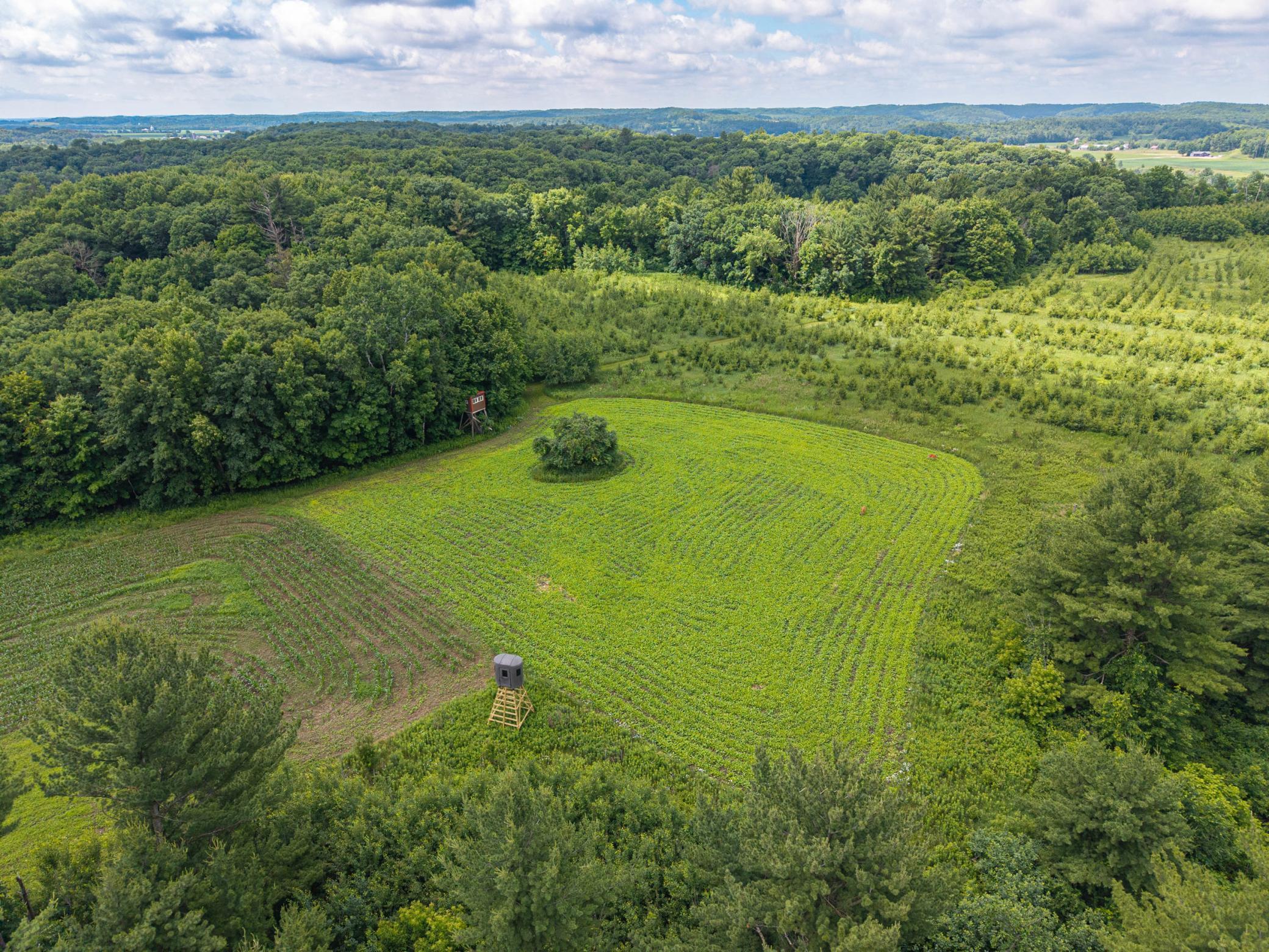 65 7 1/2 Street Prairie Farm, WI 54762 - Photo 32 of 44