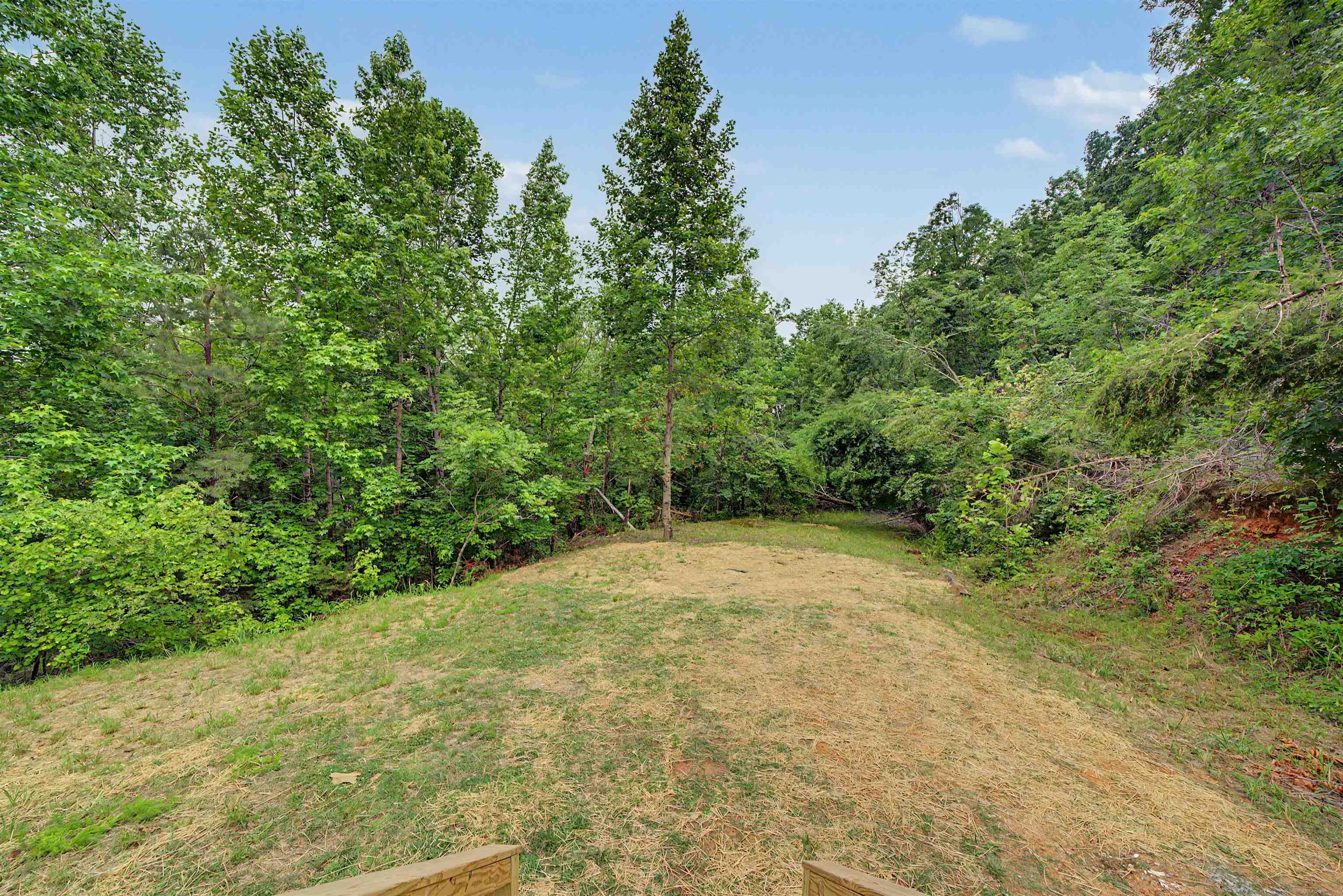 890 Burks Road Savannah, TN 38372 - Photo 29 of 40 a view of a yard with a tree
