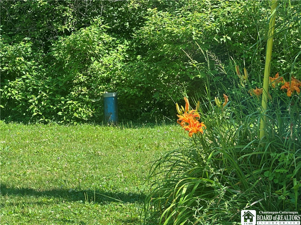 13170 Transit Line Road Concord, NY 14141 - Photo 33 of 33