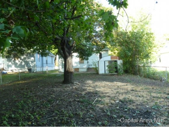 1544 North College Street Decatur, IL 62526 - Photo 4 of 12