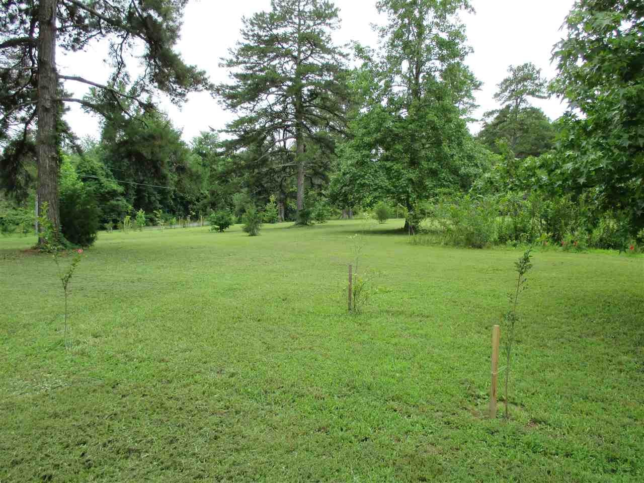 0 Cunningham Drive Decatur, TN 37322 - Photo 5 of 34 Gallery Image 5
