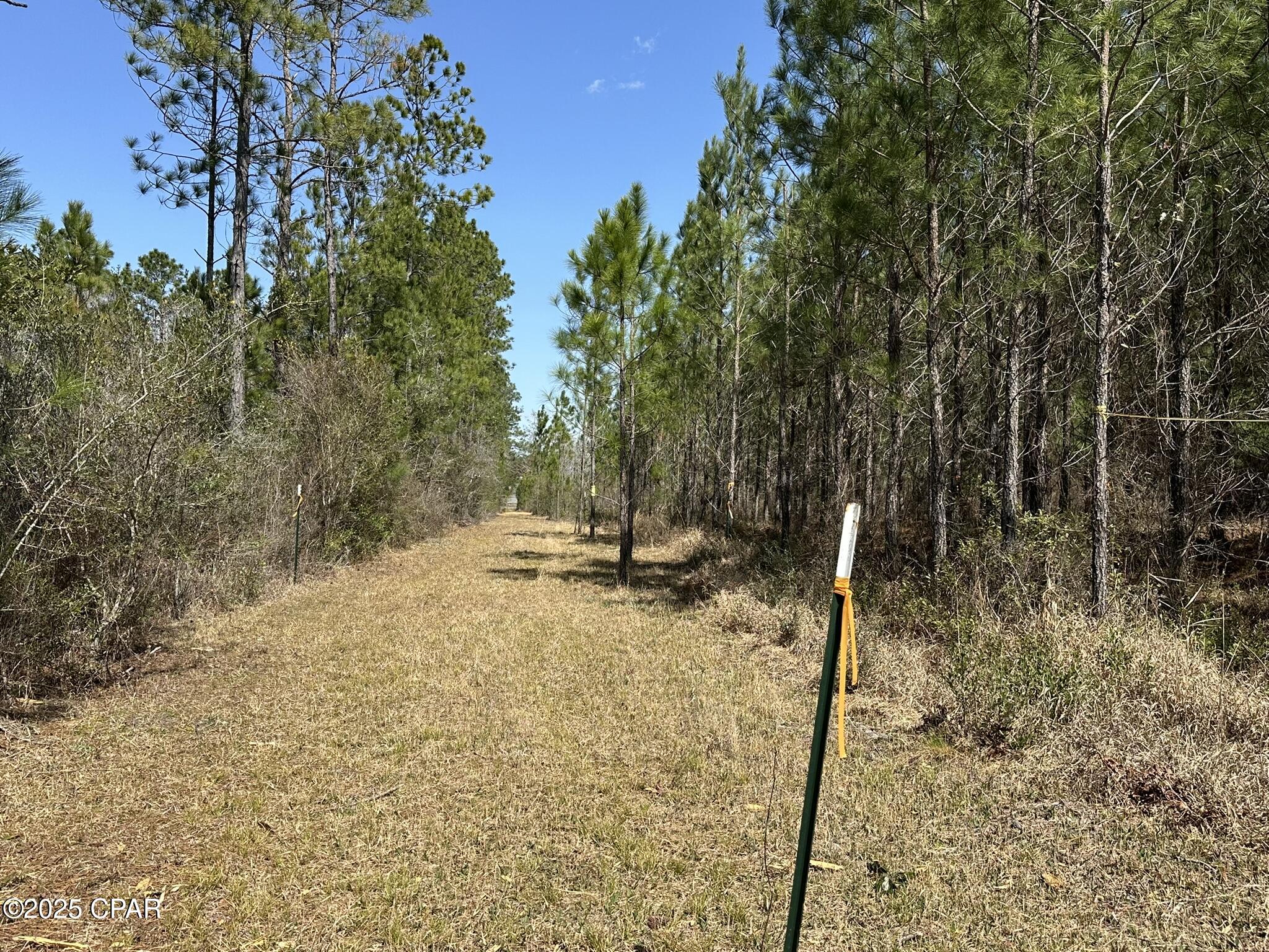 Tract#6416 Douglas Ferry Road Caryville, FL 32427 - Photo 11 of 13
