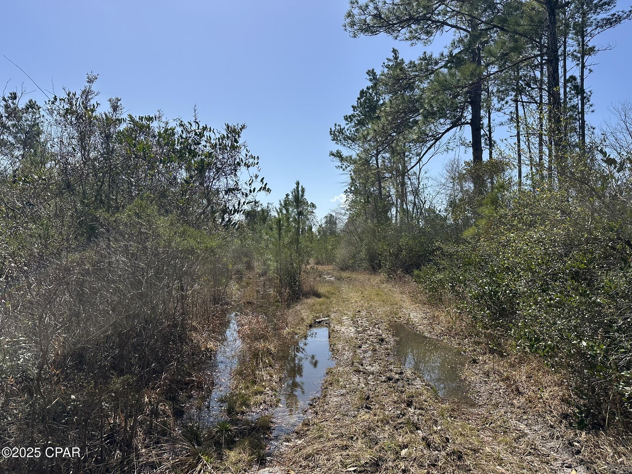 Tract#6416 Douglas Ferry Road Caryville, FL 32427 - Photo 12 of 13