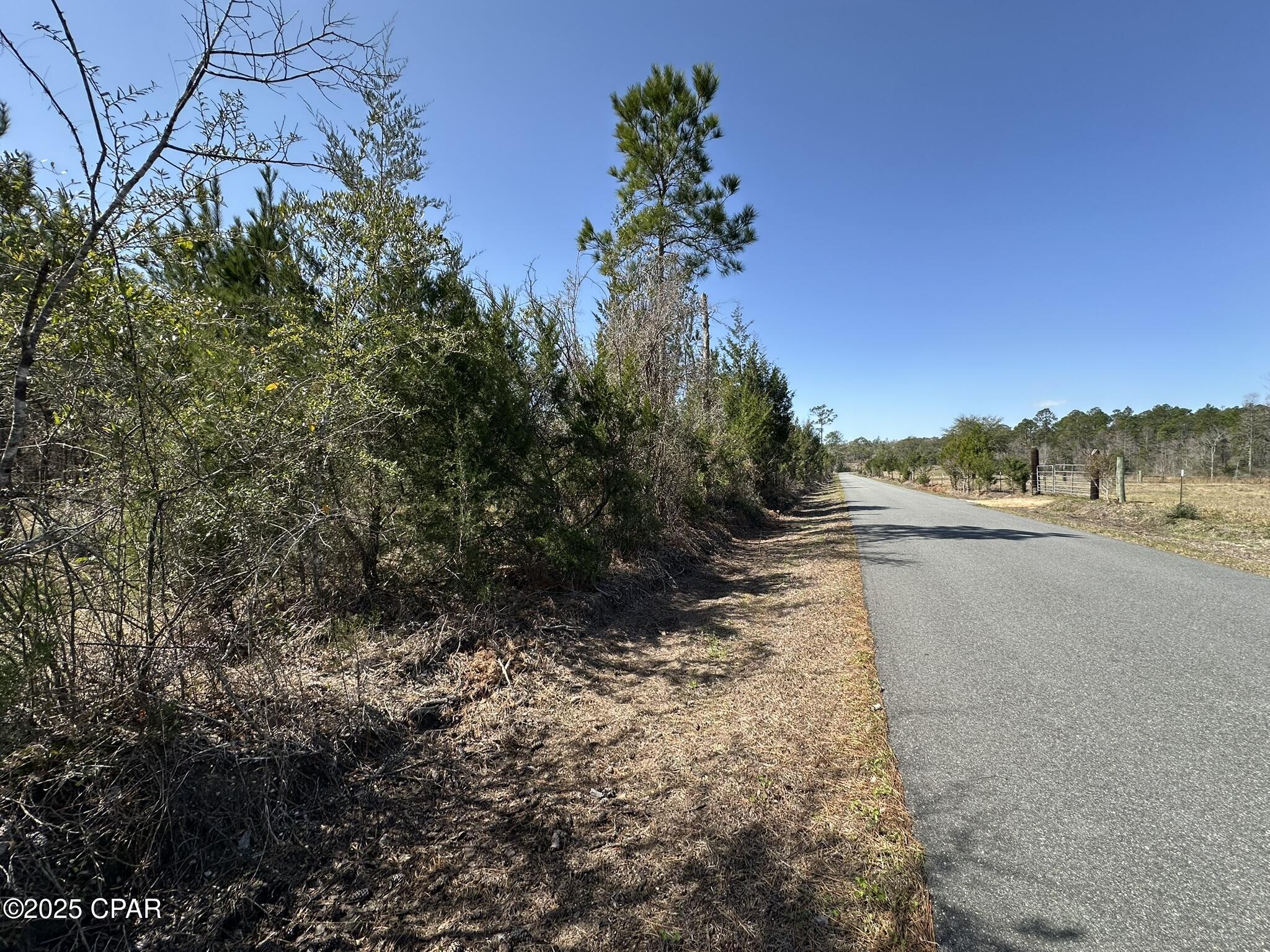 Tract#6416 Douglas Ferry Road Caryville, FL 32427 - Photo 8 of 13