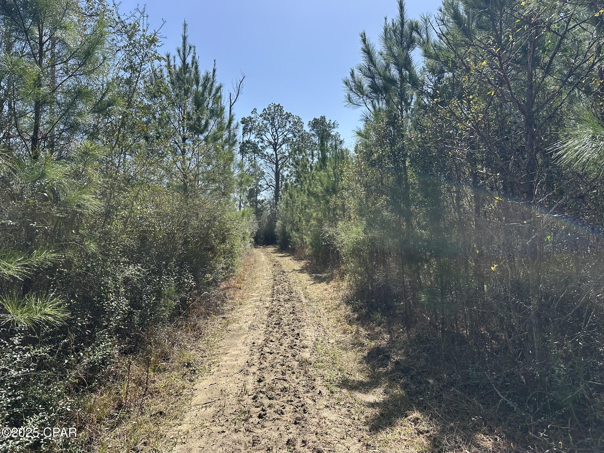 Tract#6416 Douglas Ferry Road Caryville, FL 32427 - Photo 9 of 13