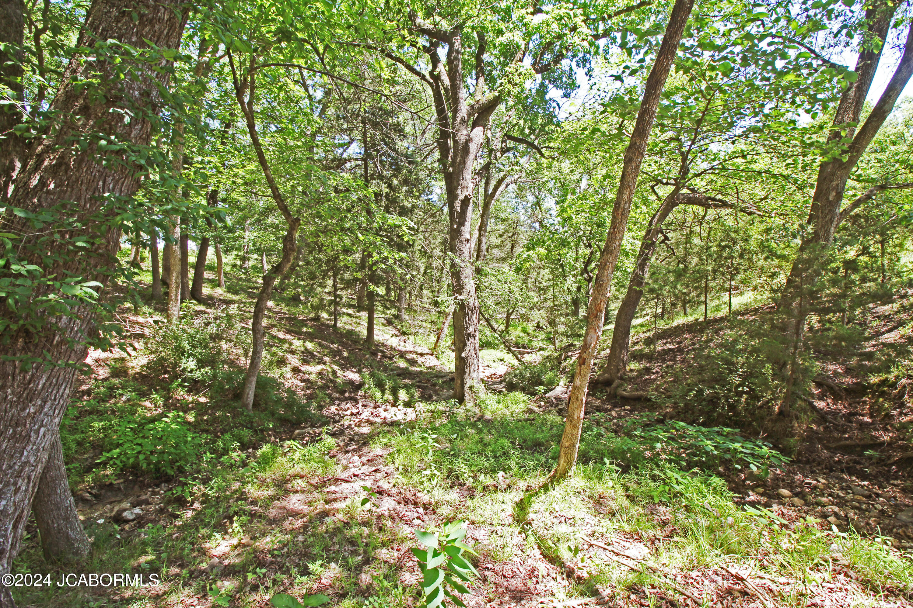 Tbd Baer Road California, MO 65018 - Photo 5 of 10