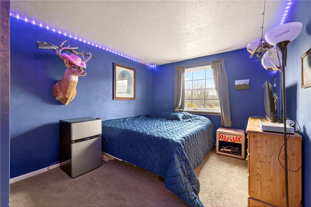 6700 Coe Road Livonia, NY 14487 - Photo 14 of 27