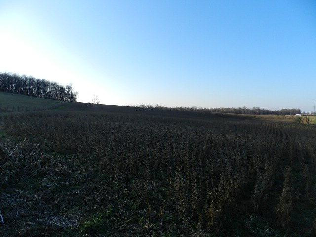 550 Houston Farm Road Brodhead, KY 40409 - Photo 4 of 16 Photo 4