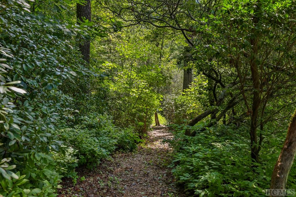 640 Wade Road Cashiers, NC 28717 - Photo 39 of 73 Gallery Image 39