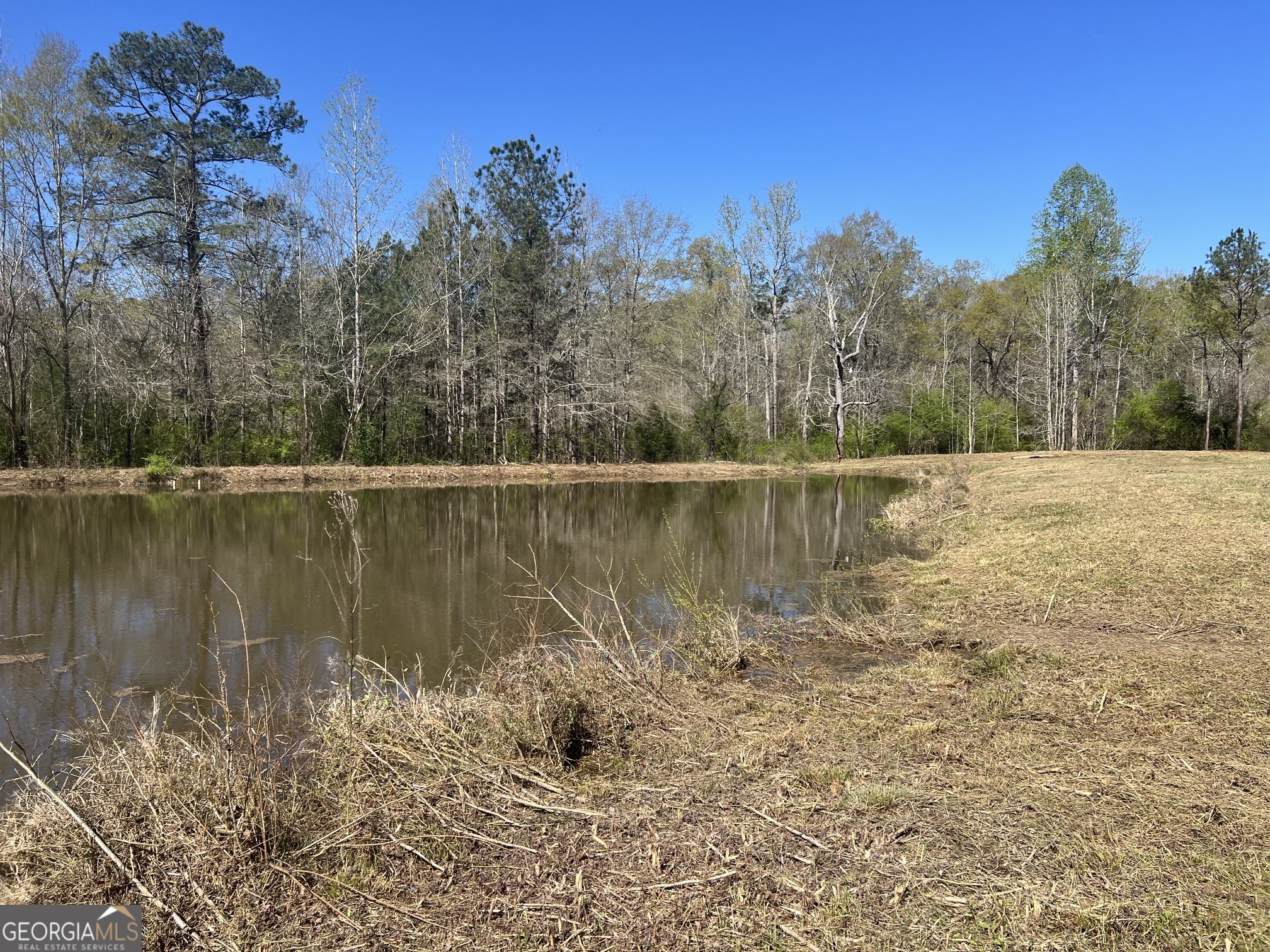 1073 Blount Road Jackson, GA 30233 - Photo 20 of 34