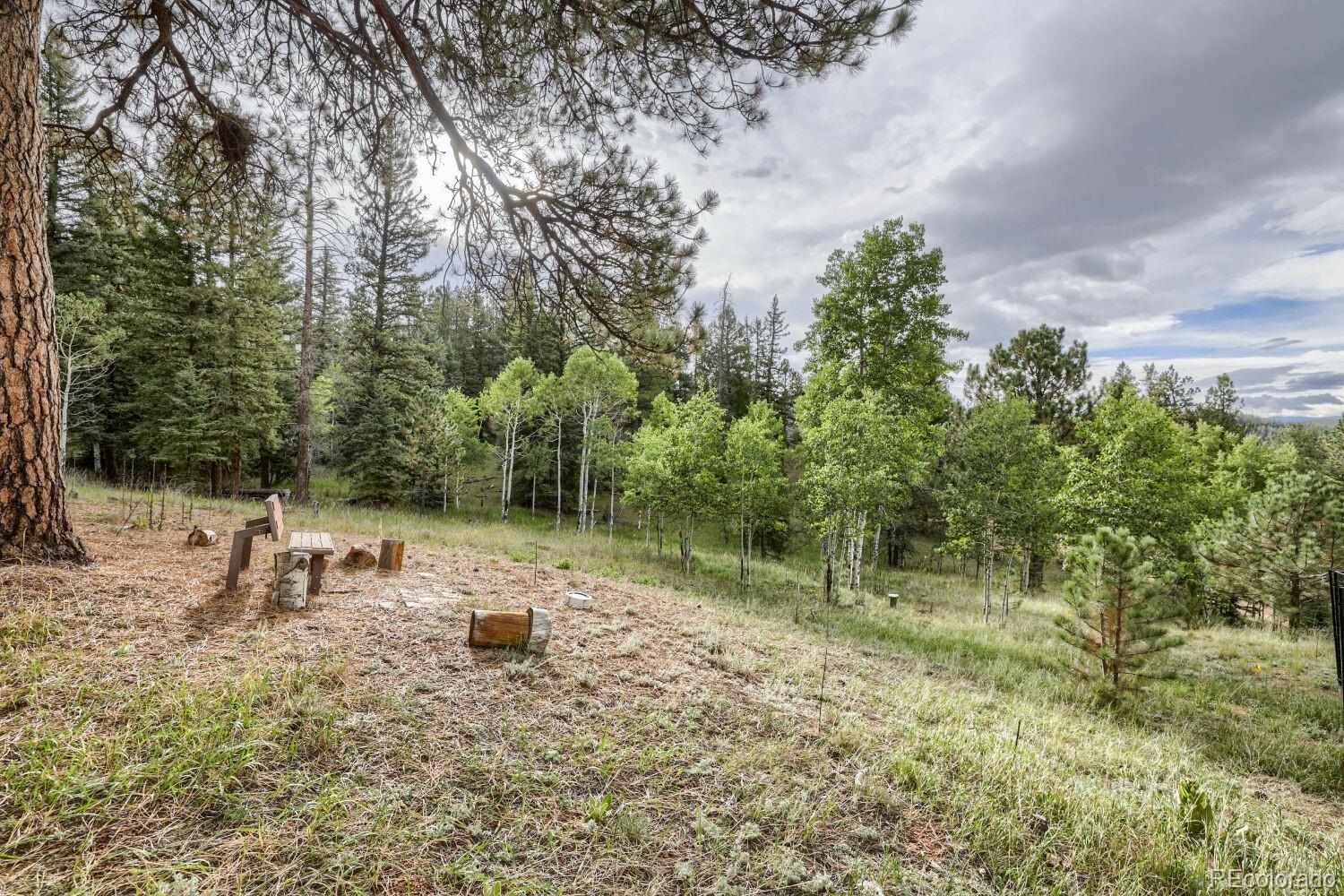 11662 Juniper Road Pine, CO 80470 - Photo 25 of 39 Gallery Image 25