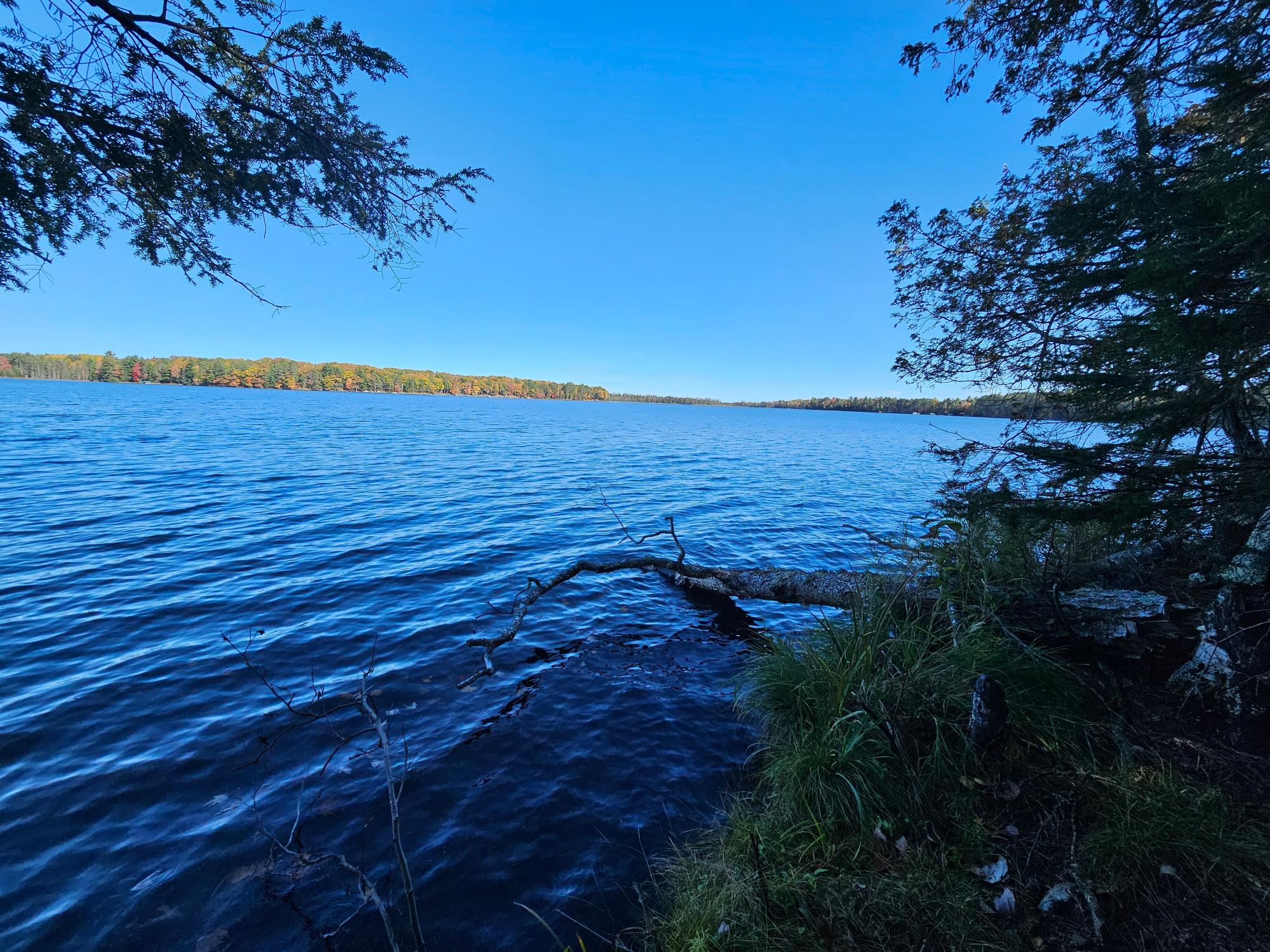 Near Ridgeway Drive Lake Tomahawk, WI 54539 - Photo 4 of 29 Gallery Image 4