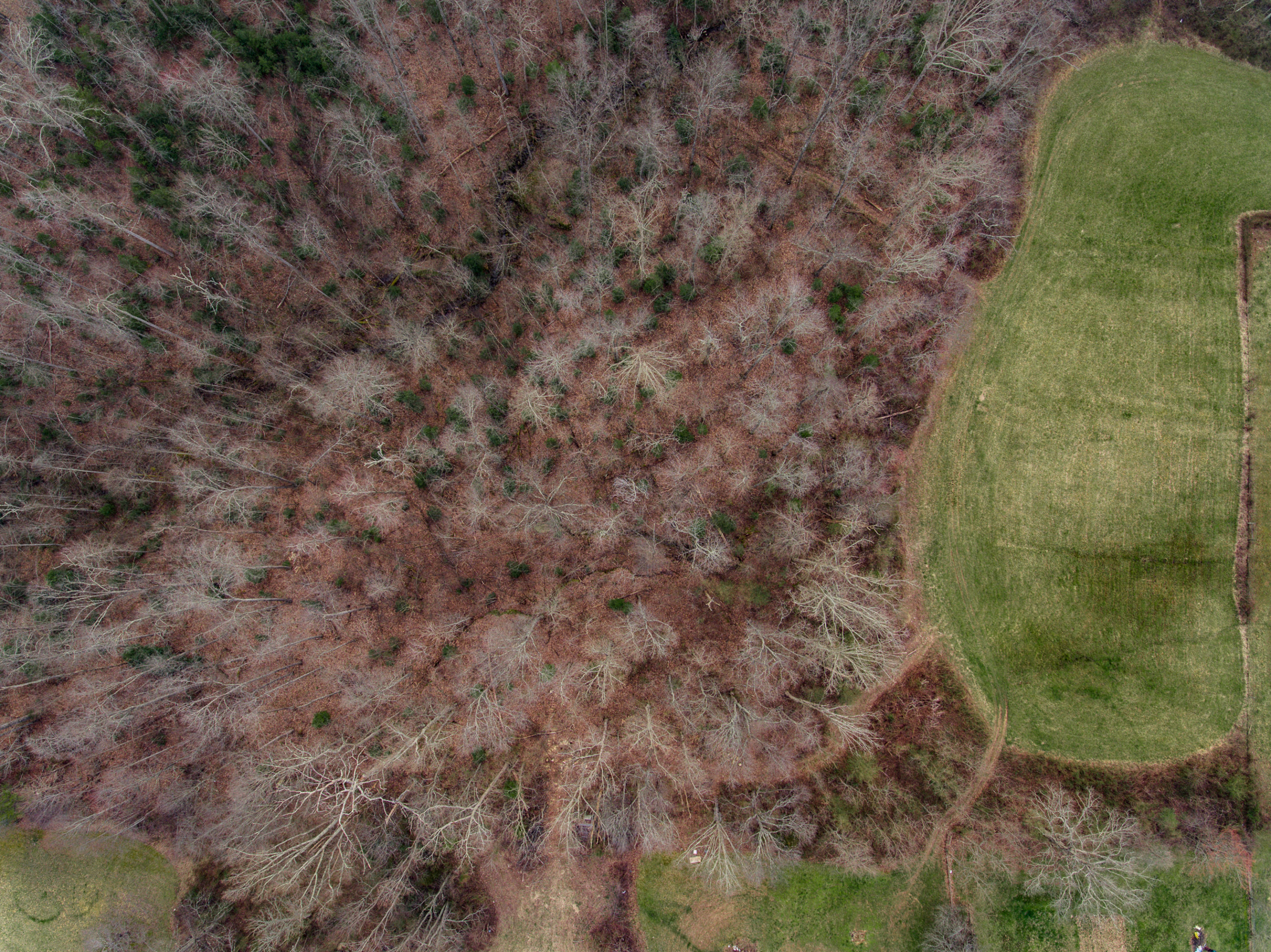 3.9-acres Finley Road Crossville, TN 38571 - Photo 4 of 8 Aerials-4