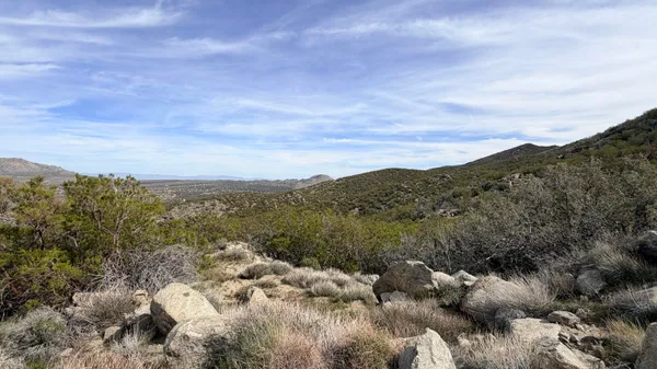 an aerial view of houses covered in trees