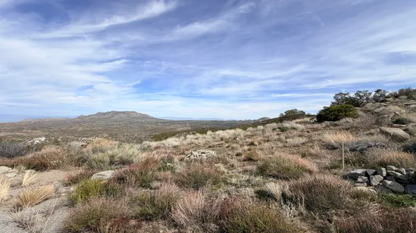 an aerial view of houses covered in trees