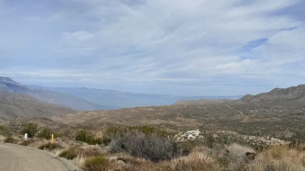 a view of a forest with mountains in the background