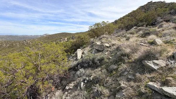 a view of a mountain in the distance in a field