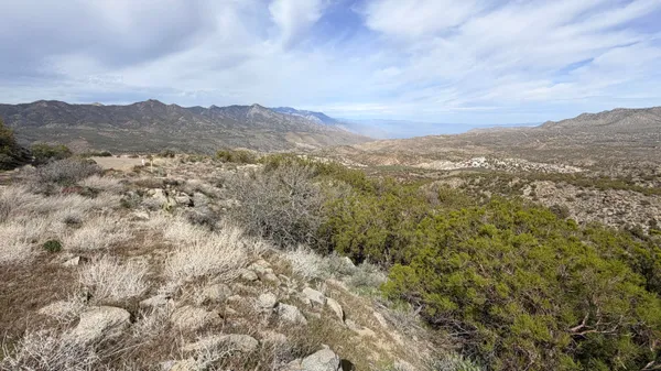 a view of a dry yard with mountains in the background