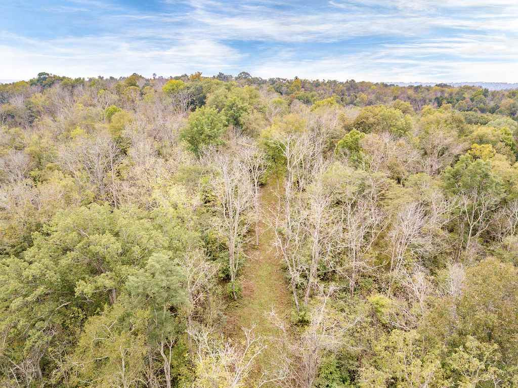 7255 Elliston Mt Zion Road Dry Ridge, KY 41035 - Photo 34 of 38