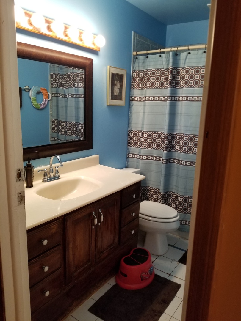 181 Oxford Road Bolingbrook, IL 60440 - Photo 21 of 29 a bathroom with a double vanity sink toilet and shower