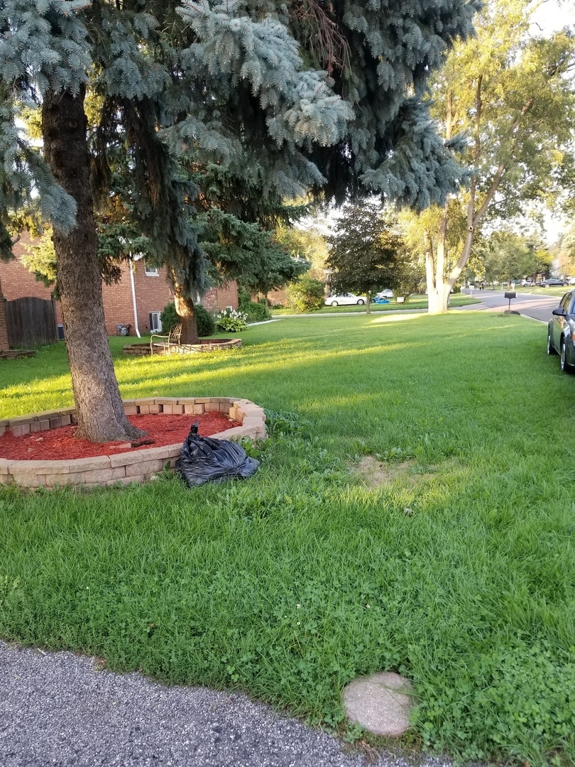 181 Oxford Road Bolingbrook, IL 60440 - Photo 6 of 29 a view of a park with large trees