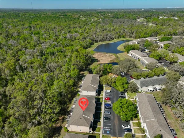 $2,500 | 15843 Fishhawk View Drive, Lithia, FL 33547