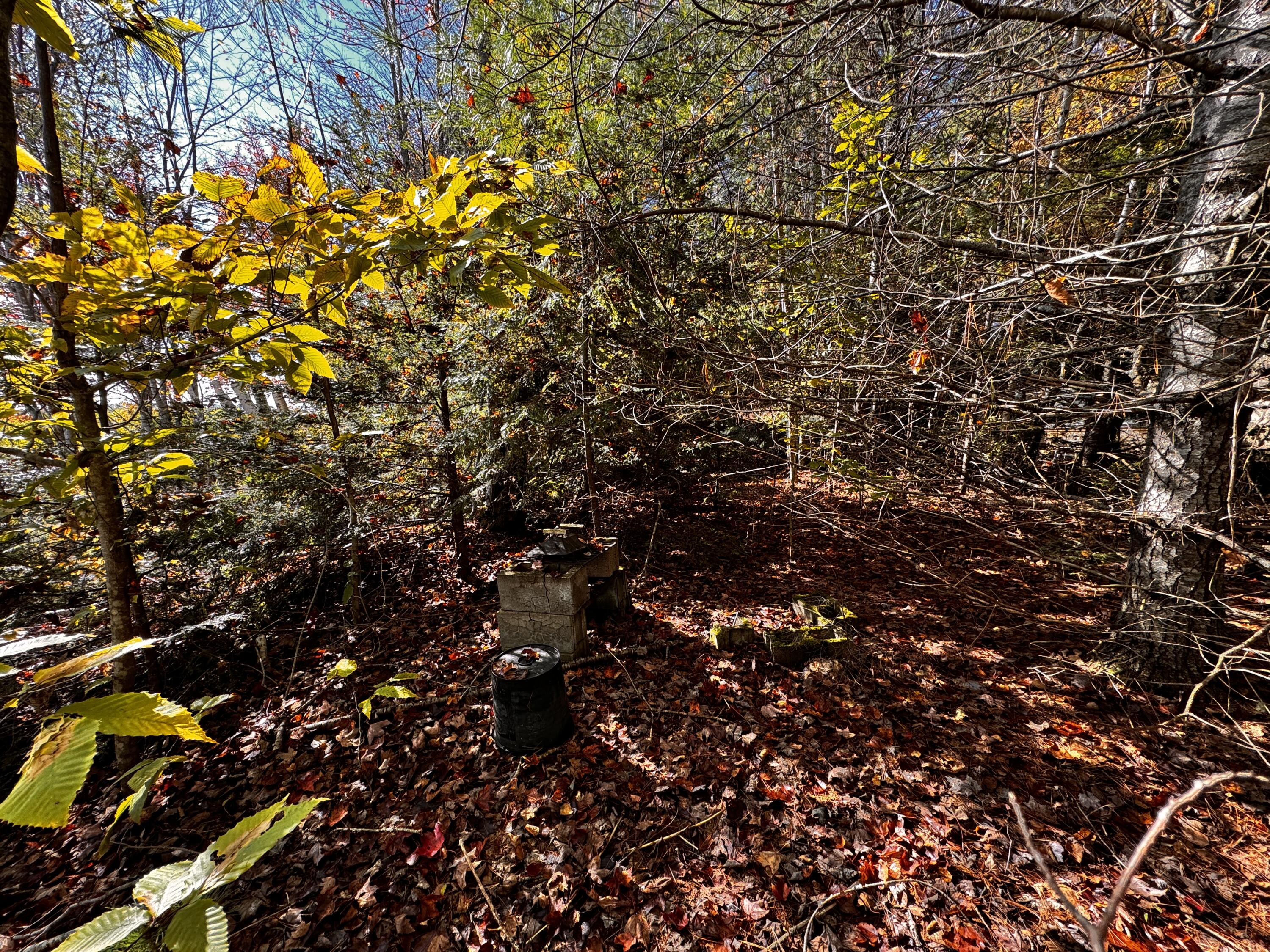 42 Whitmore Road Ellsworth, ME 04605 - Photo 3 of 5 0.68 Acres
