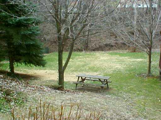 21 East Ridge Road Coraopolis, PA 15108 - Photo 7 of 7 Yard/Garden.