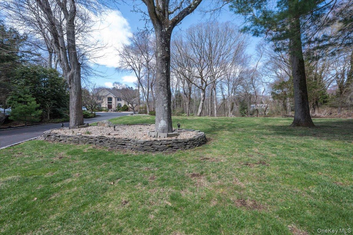 129 Round Swamp Road Huntington, NY 11743 - Photo 3 of 50 Long driveway with mature trees and front lawn leading up to the entry of the home.