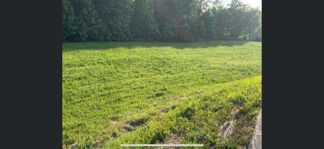 0 Pecks Creek Road Stanton, KY 40380 - Photo 5 of 7 image5