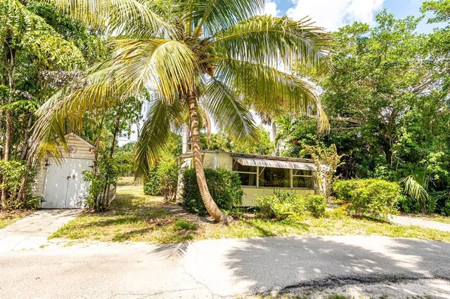 a view of a yard with plants and trees