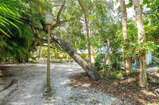 a view of an outdoor space and a yard