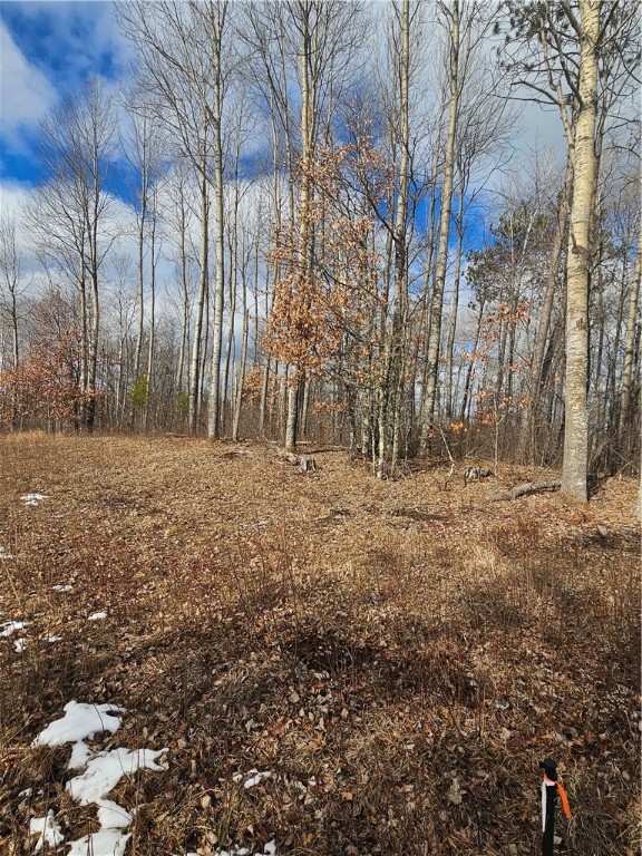 Lot 4 Lot Road Gordon, WI 54838 - Photo 1 of 1 Gallery Image 1