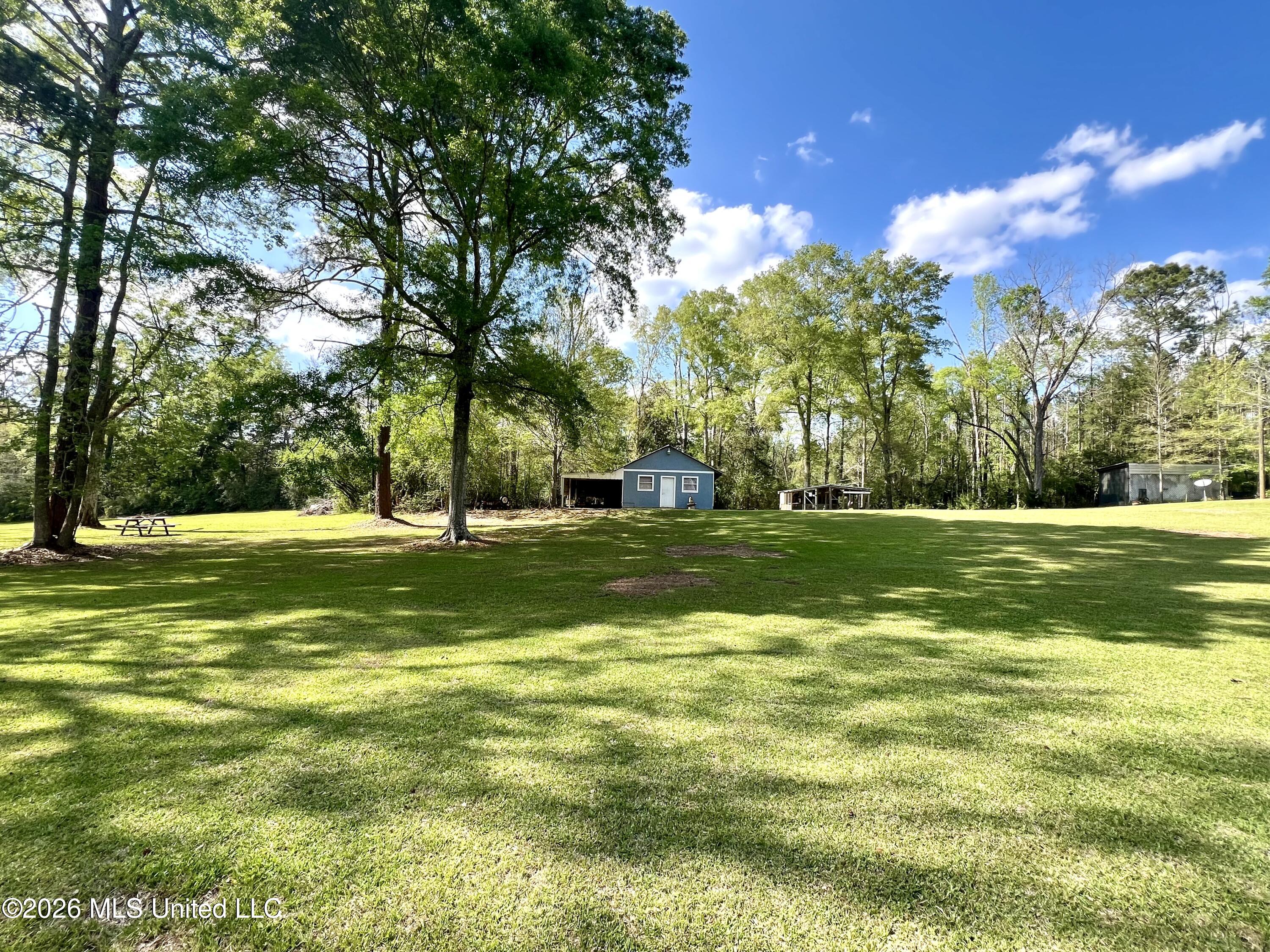 429 Old Jackson Road Liberty, MS 39645 - Photo 13 of 15 IMG_4766