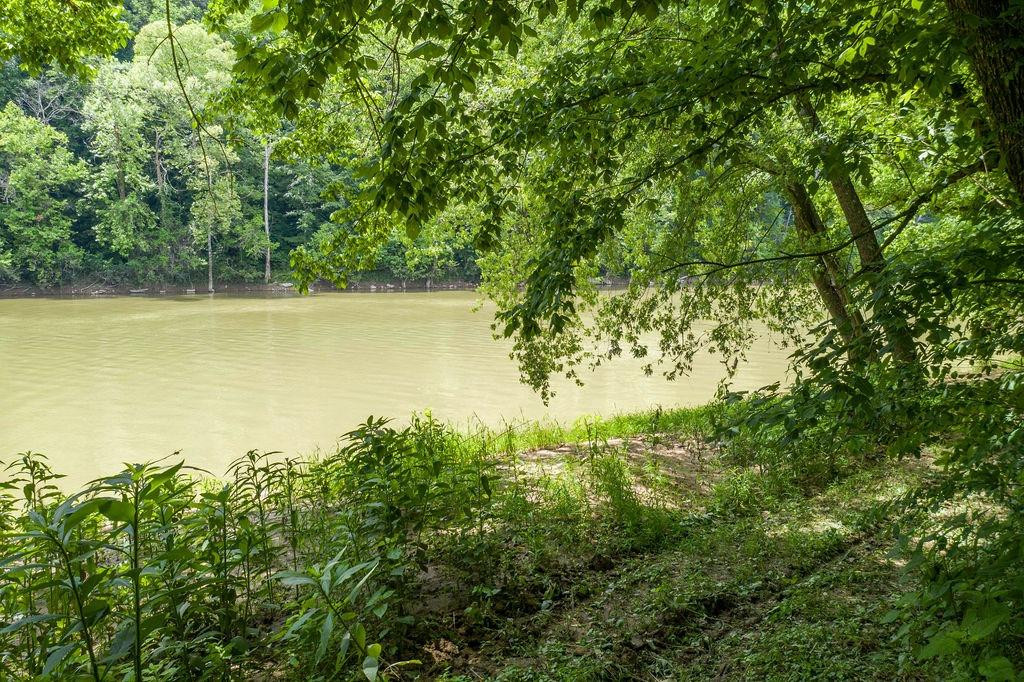 4255 Oregon Road Versailles, KY 40383 - Photo 27 of 37 Photo 27