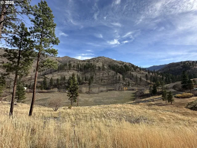 $429,000 | 24826 South S Highway, Canyon City, OR 97820